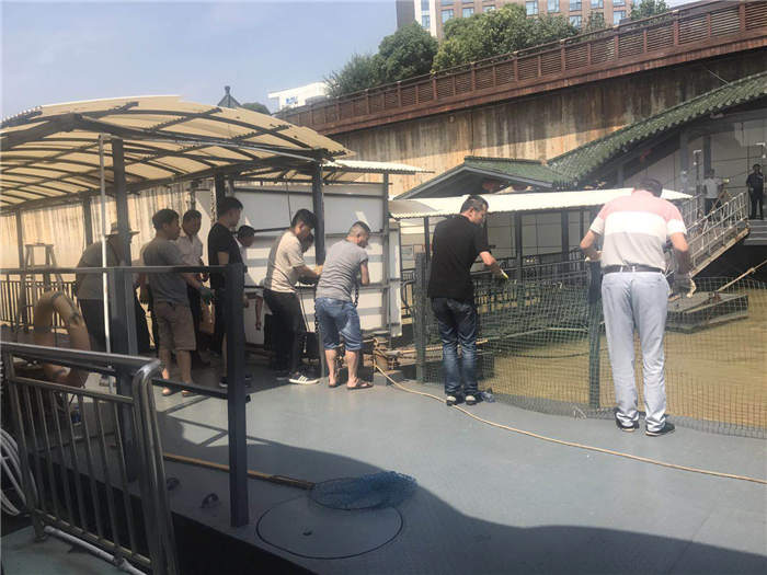 微信图片_20180611163456_副本.jpg