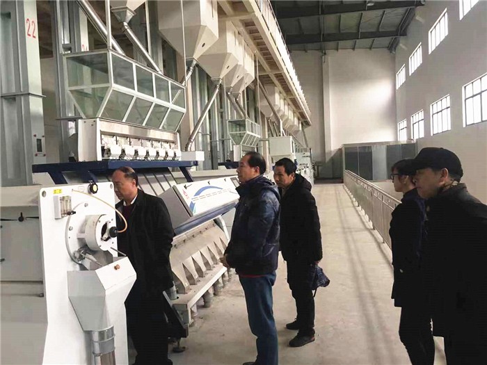图片 (1).jpg